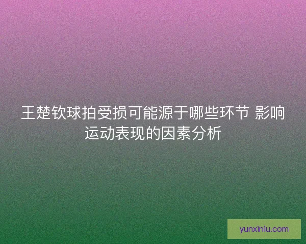 王楚钦球拍受损可能源于哪些环节 影响运动表现的因素分析