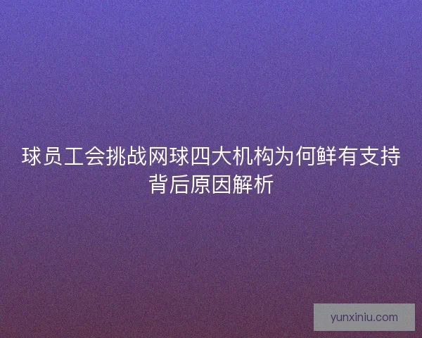 球员工会挑战网球四大机构为何鲜有支持背后原因解析